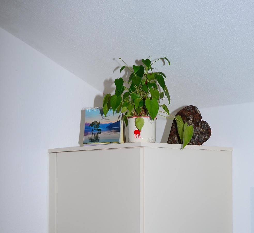 Haus Jakob Filzmoos Luaran gambar